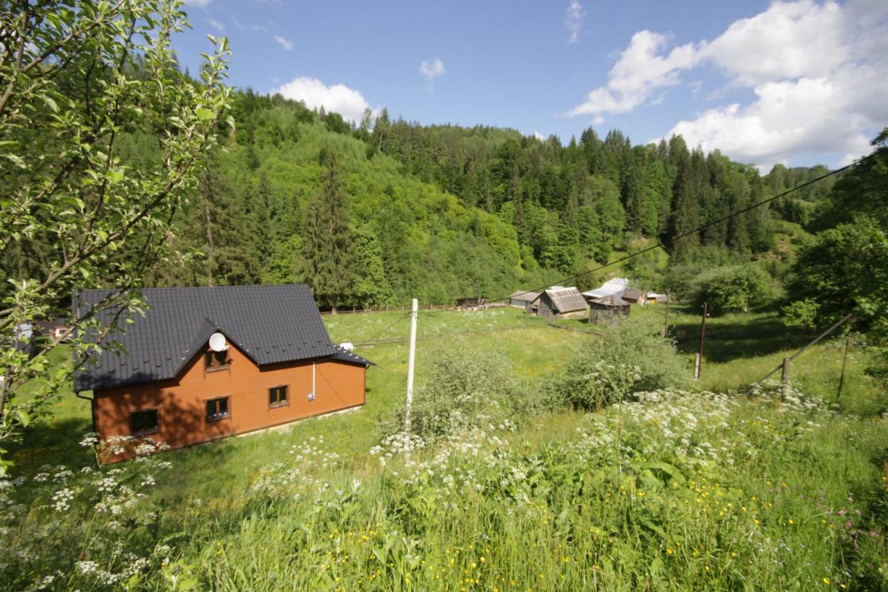 Villa Ozdoba à Verkhovyna Extérieur photo